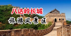 WWW.操逼中国北京-八达岭长城旅游风景区
